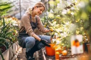 Akcesoria do AGD, które odmienią codzienne gotowanie i sprzątanie